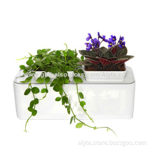 Hot Sale Mini Smart Garden without Any Care with Auto-watering